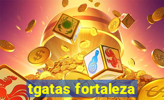 tgatas fortaleza